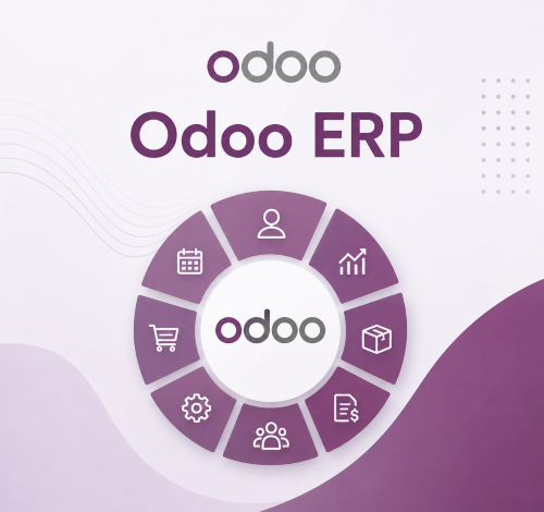 Odoo ERP Support